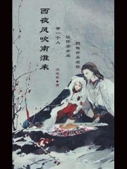 西夜风吹南淮来